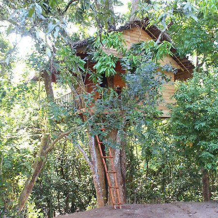 Villa Tree House-Midigama à Weligama Extérieur photo