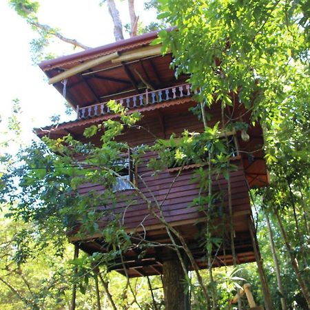 Villa Tree House-Midigama à Weligama Extérieur photo