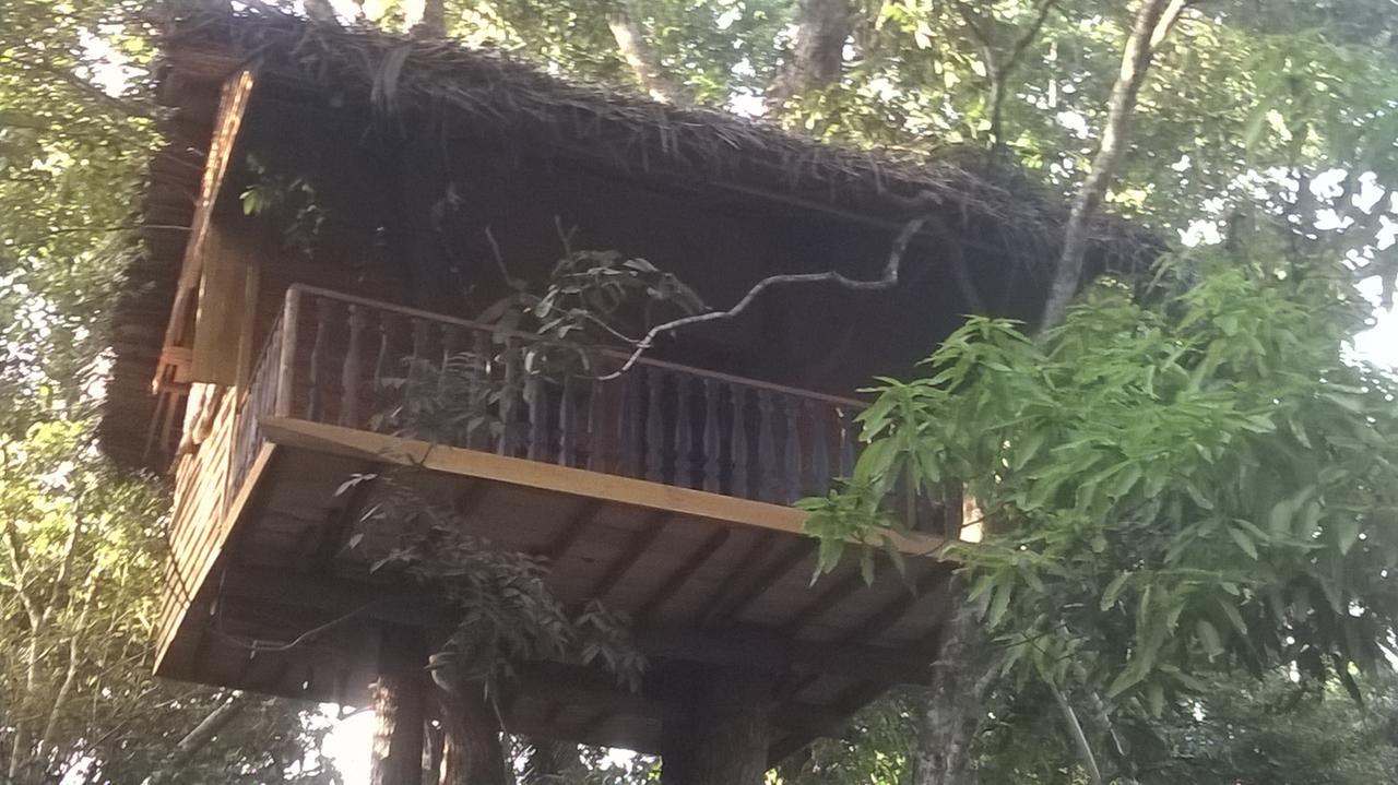 Villa Tree House-Midigama à Weligama Extérieur photo