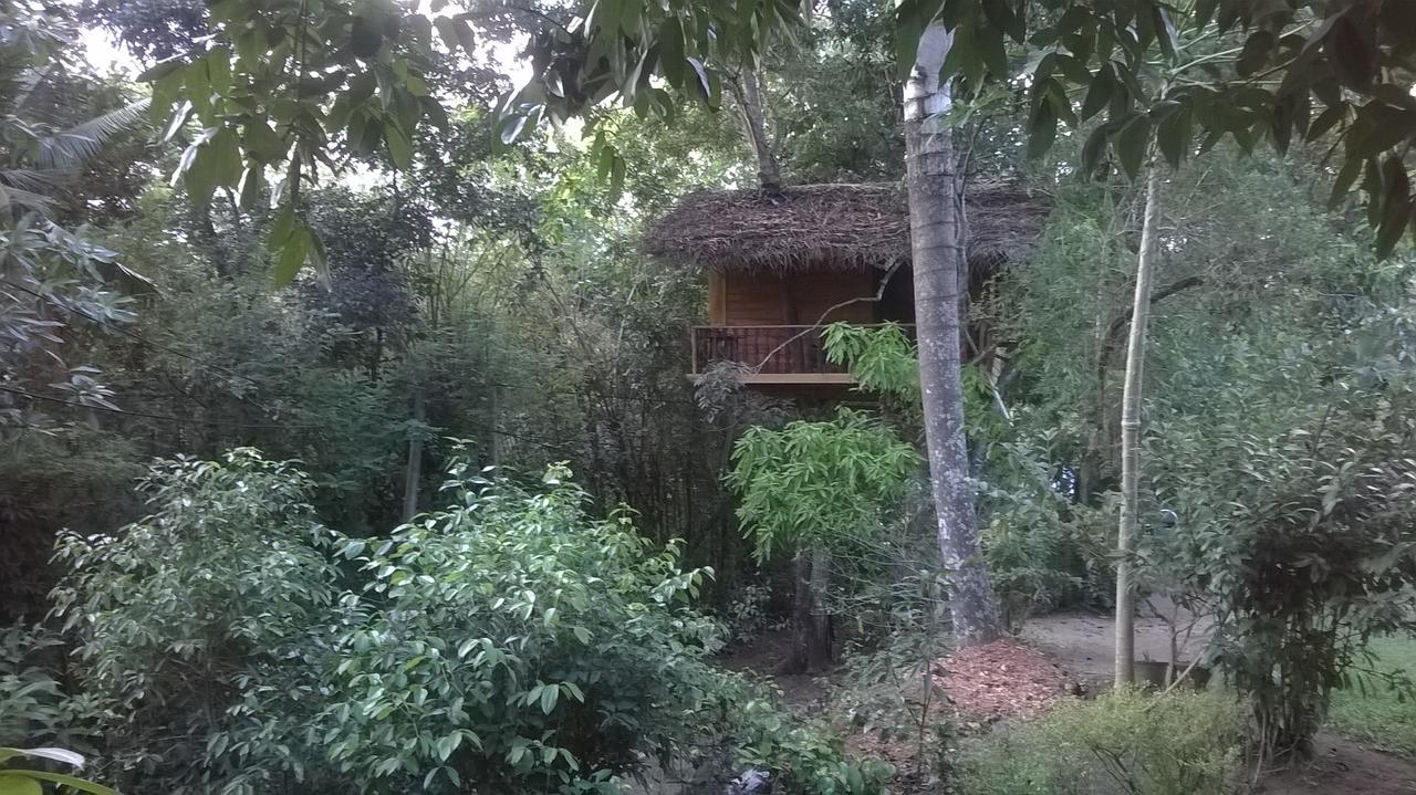 Villa Tree House-Midigama à Weligama Extérieur photo