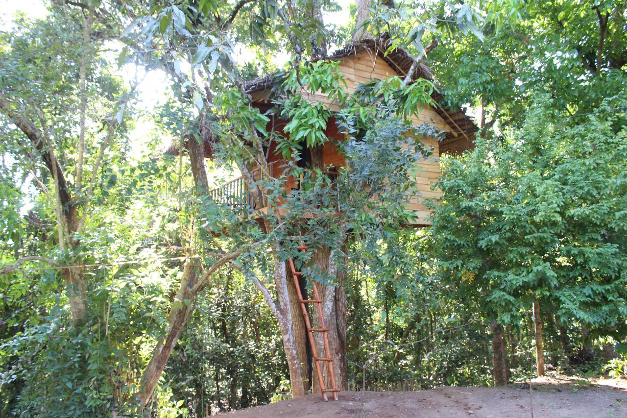 Villa Tree House-Midigama à Weligama Extérieur photo