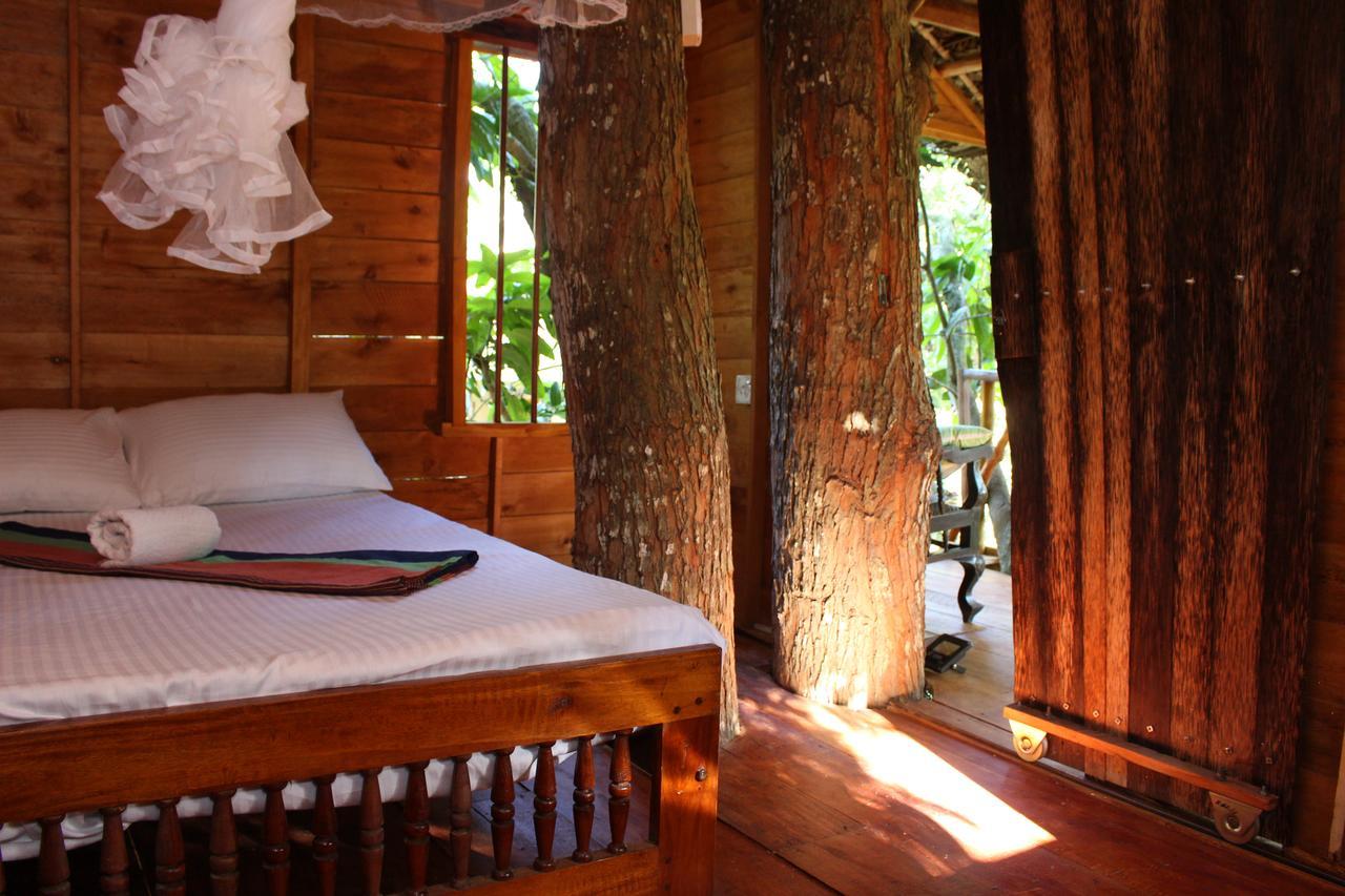 Villa Tree House-Midigama à Weligama Extérieur photo