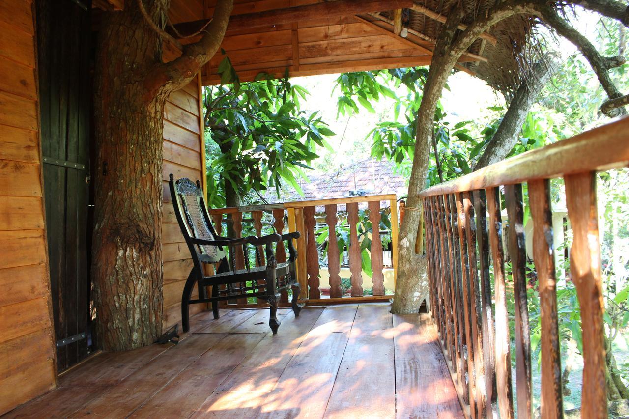 Villa Tree House-Midigama à Weligama Extérieur photo