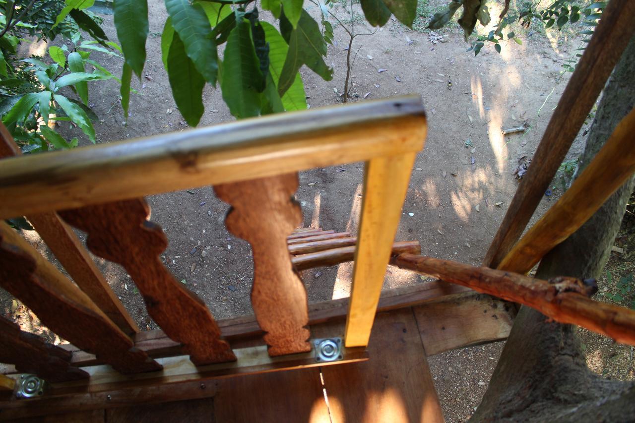 Villa Tree House-Midigama à Weligama Extérieur photo
