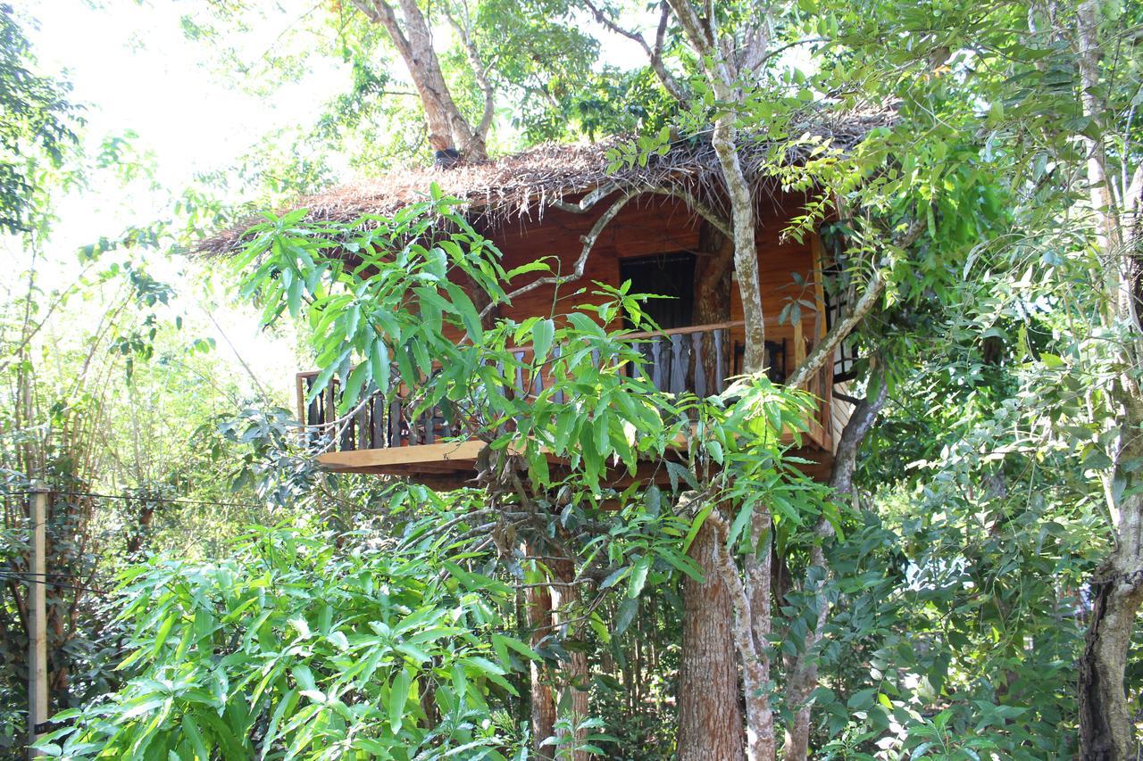 Villa Tree House-Midigama à Weligama Extérieur photo