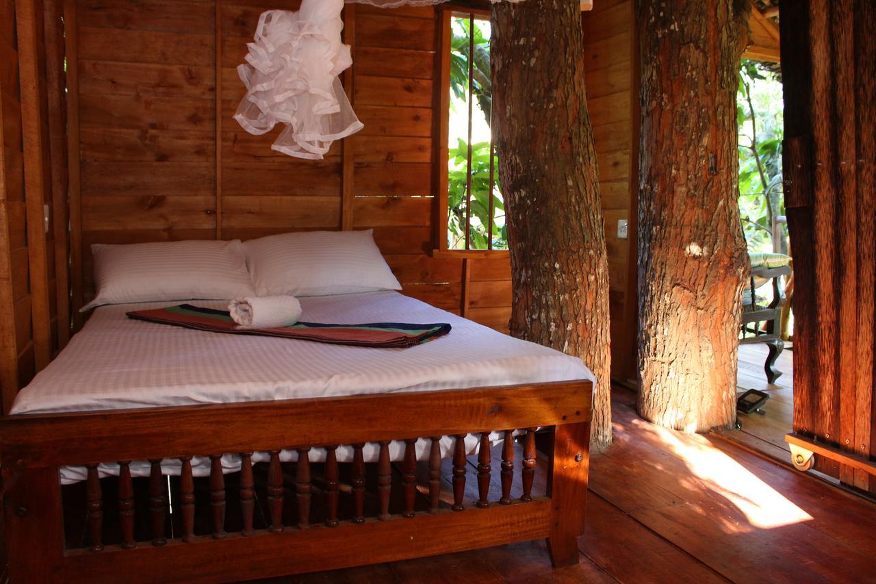 Villa Tree House-Midigama à Weligama Extérieur photo