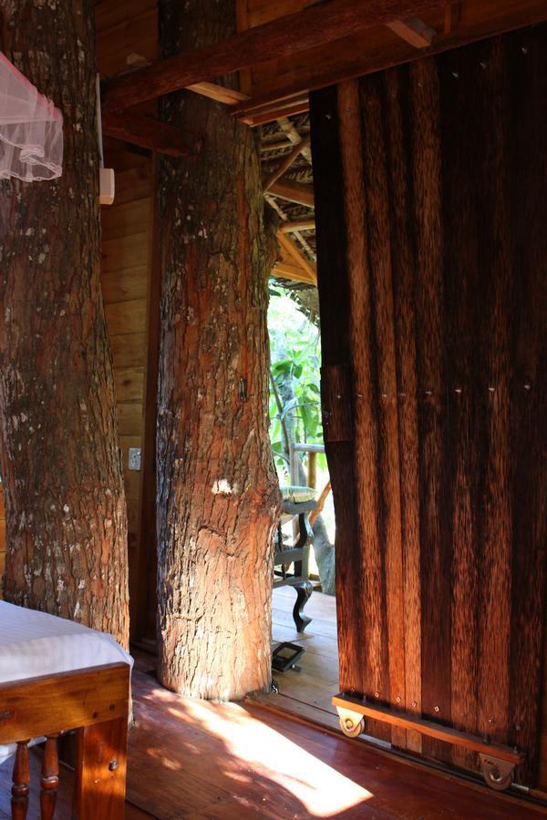 Villa Tree House-Midigama à Weligama Extérieur photo