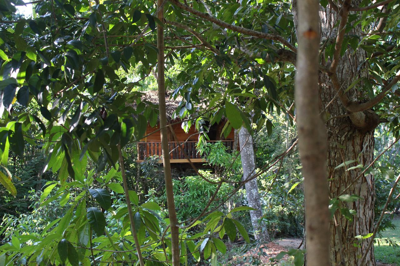 Villa Tree House-Midigama à Weligama Extérieur photo