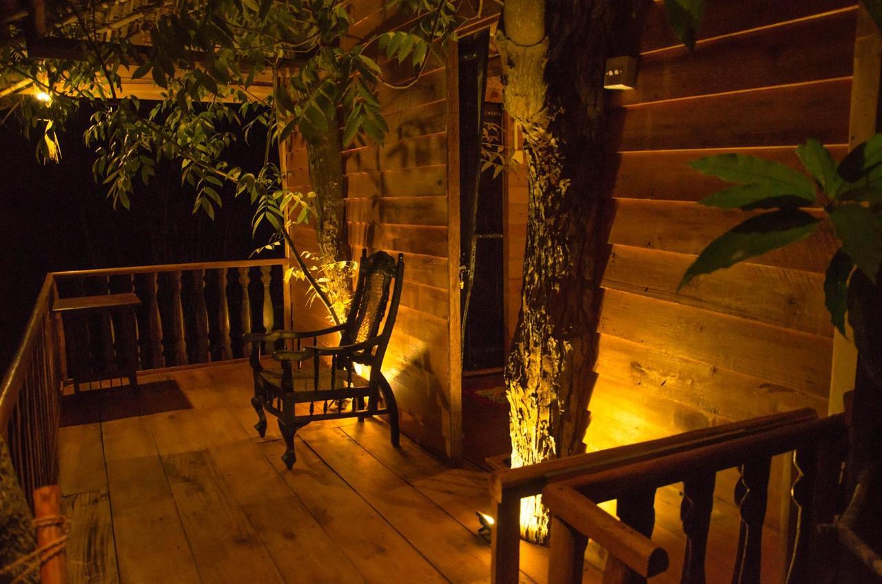 Villa Tree House-Midigama à Weligama Extérieur photo