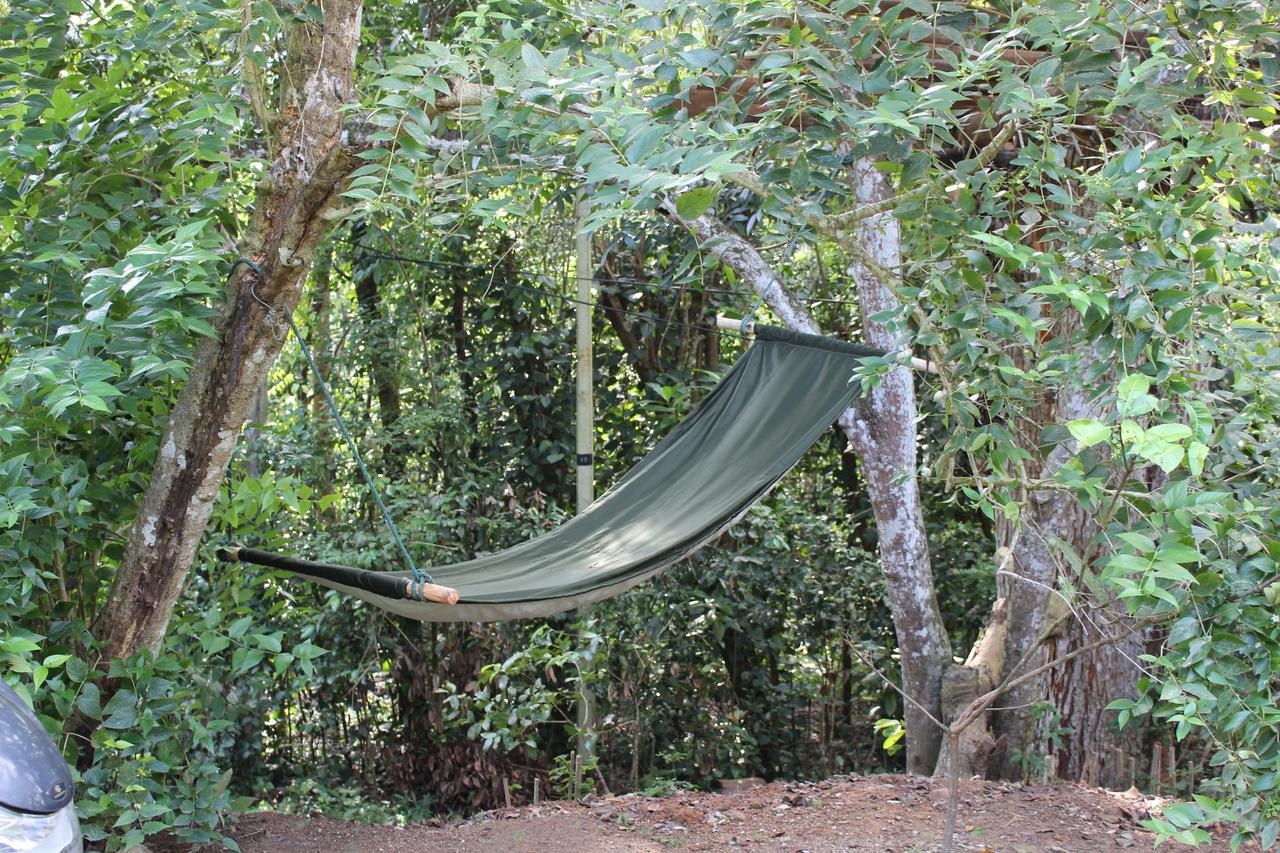 Villa Tree House-Midigama à Weligama Extérieur photo