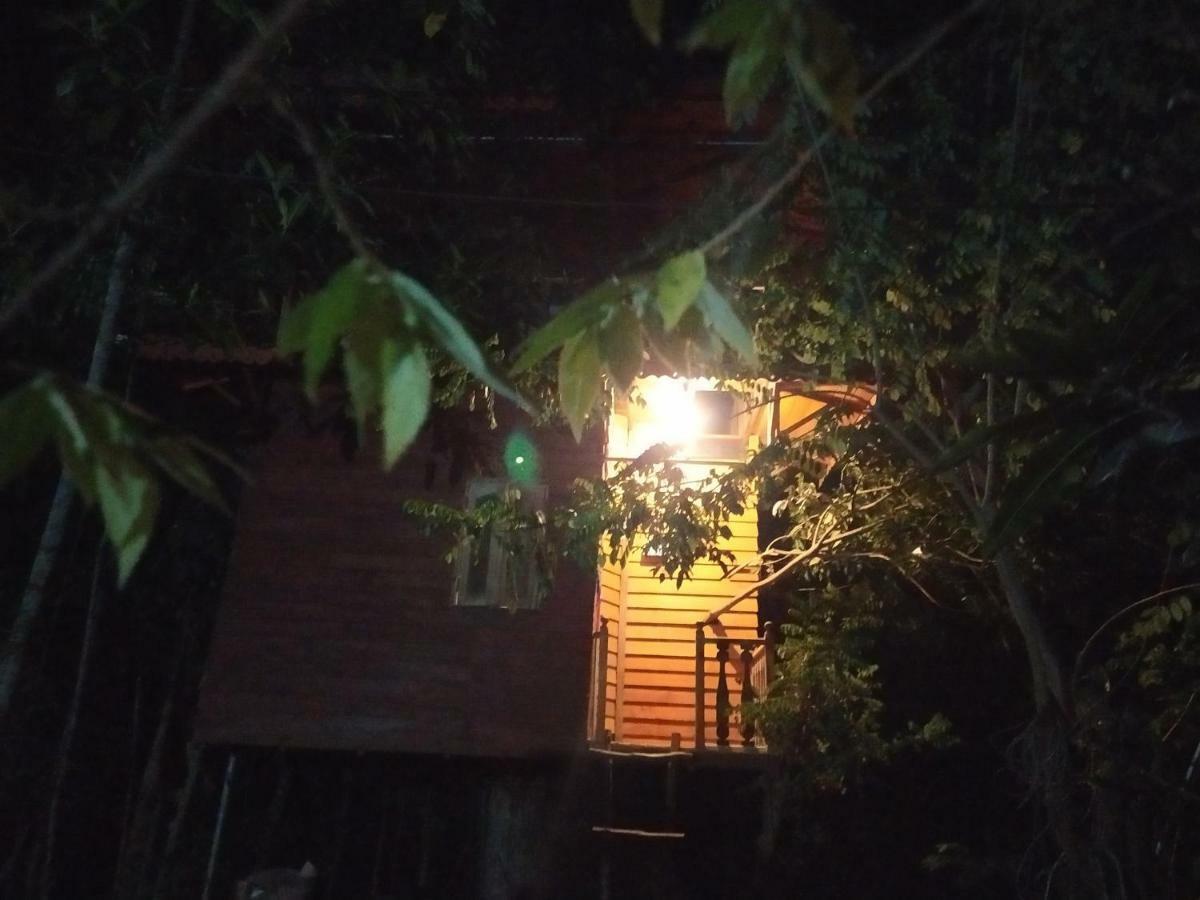 Villa Tree House-Midigama à Weligama Extérieur photo