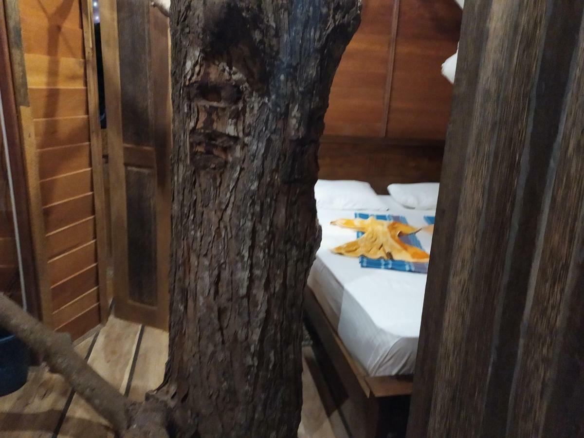 Villa Tree House-Midigama à Weligama Extérieur photo