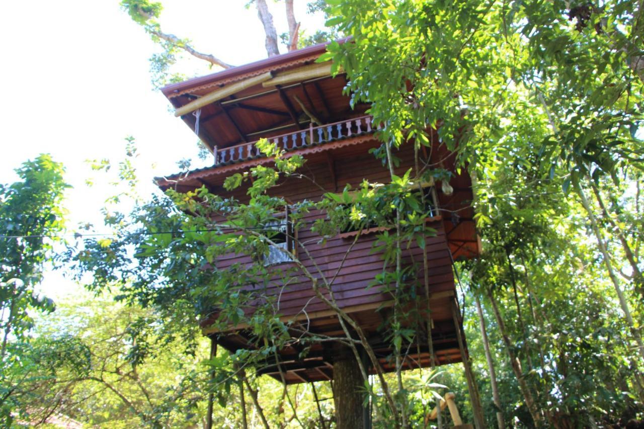Villa Tree House-Midigama à Weligama Extérieur photo