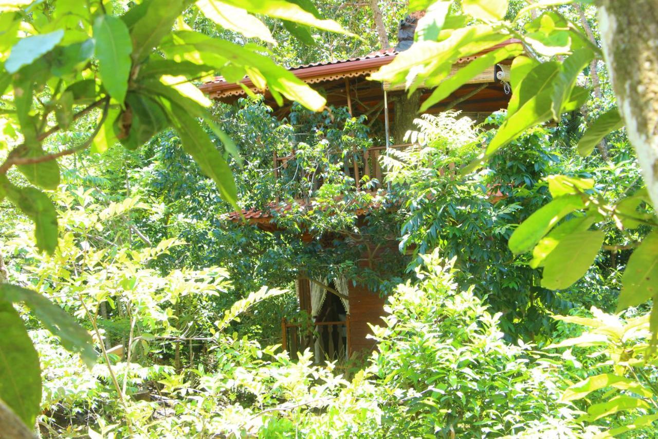 Villa Tree House-Midigama à Weligama Extérieur photo