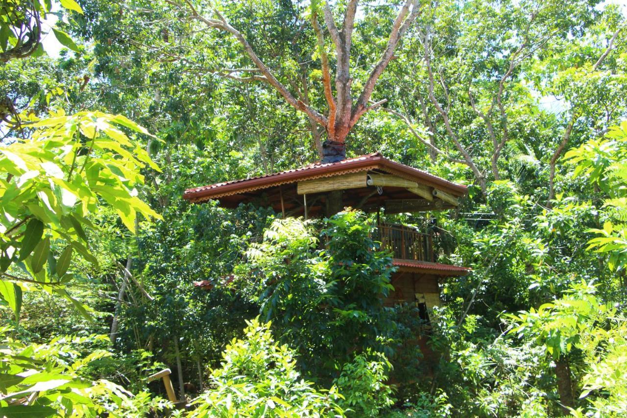 Villa Tree House-Midigama à Weligama Extérieur photo