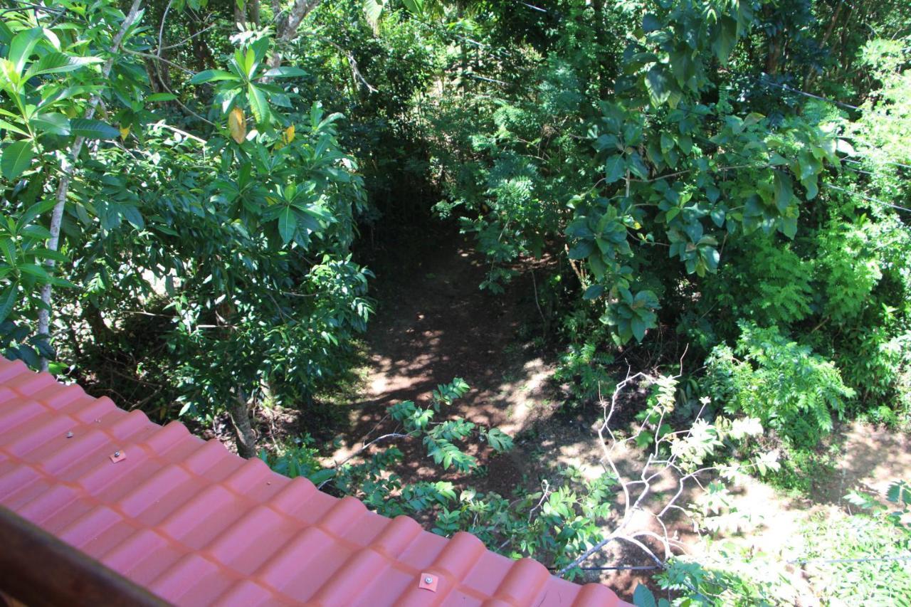 Villa Tree House-Midigama à Weligama Extérieur photo