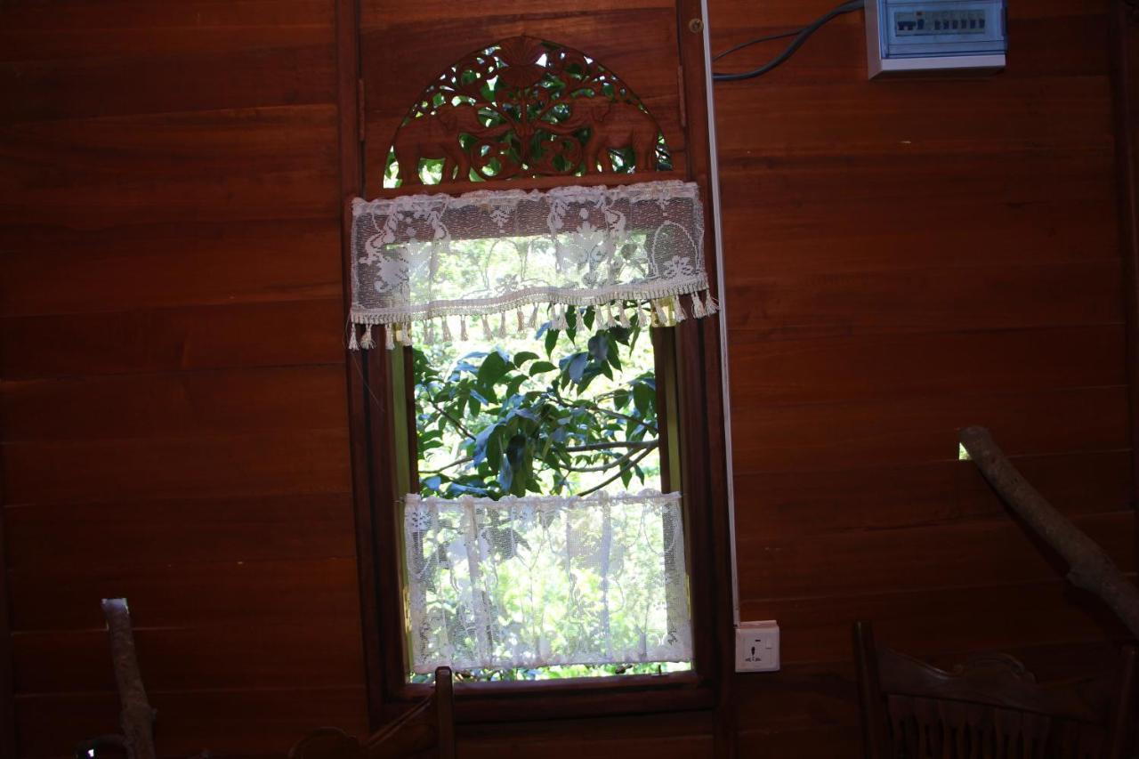 Villa Tree House-Midigama à Weligama Extérieur photo