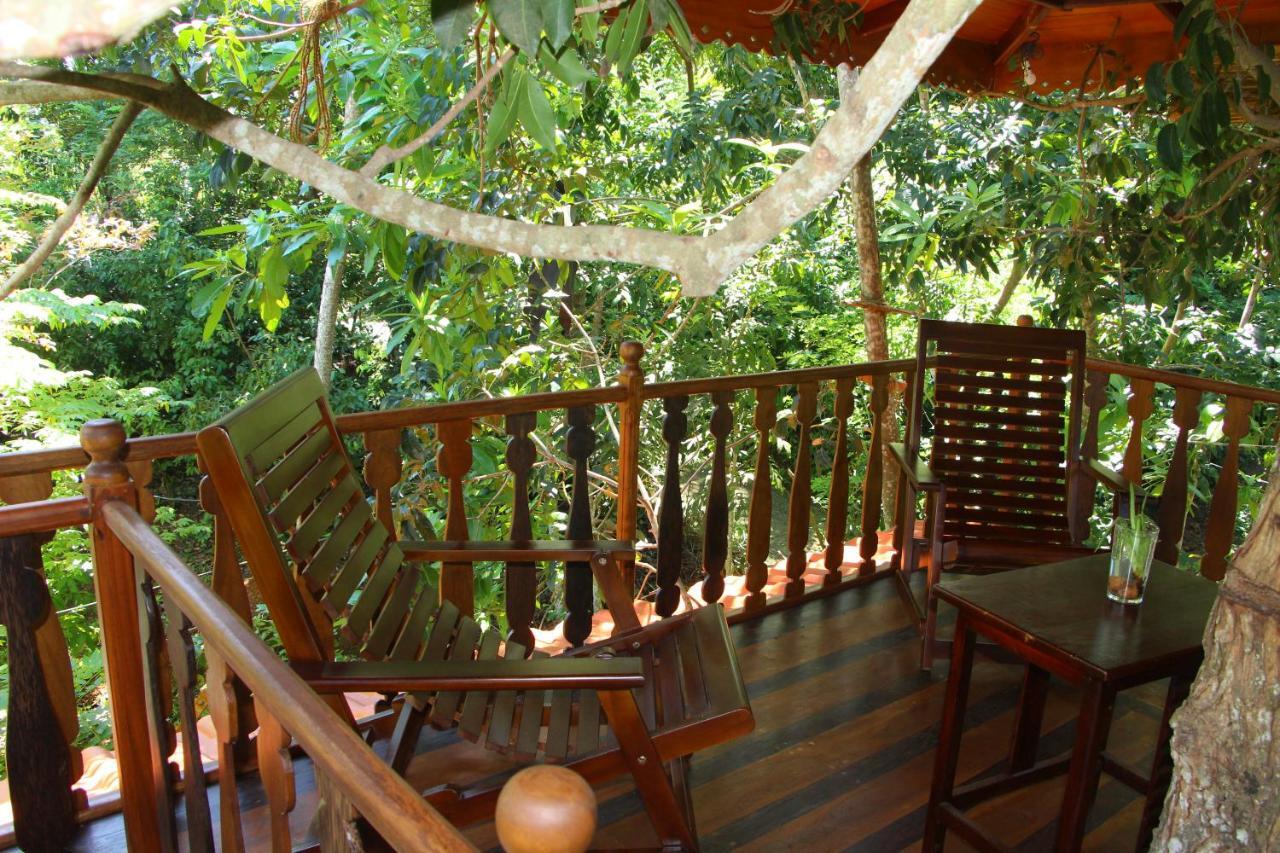 Villa Tree House-Midigama à Weligama Extérieur photo