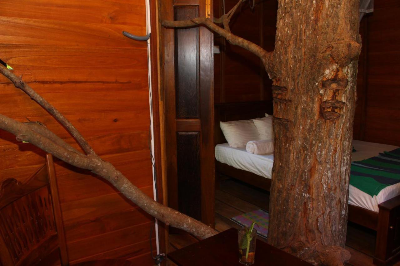 Villa Tree House-Midigama à Weligama Extérieur photo