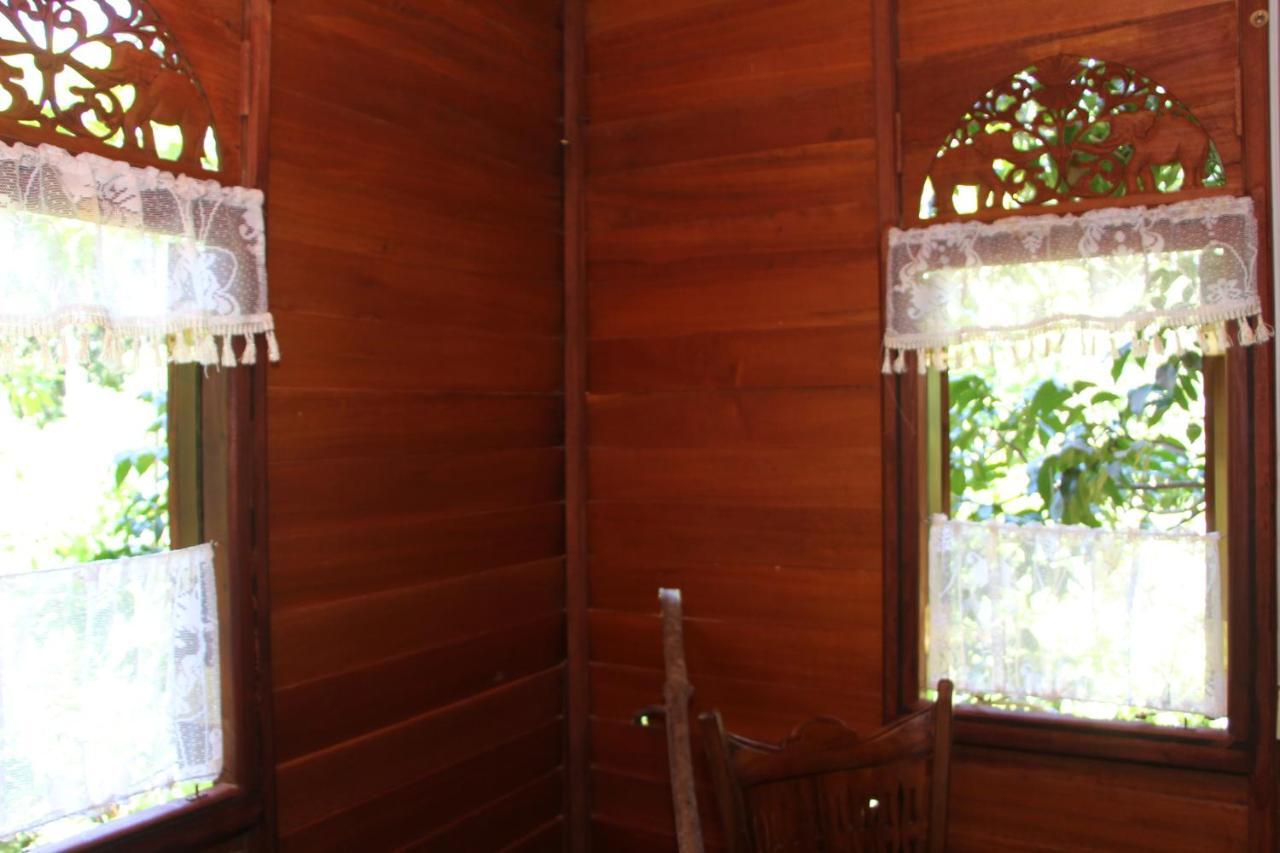 Villa Tree House-Midigama à Weligama Extérieur photo
