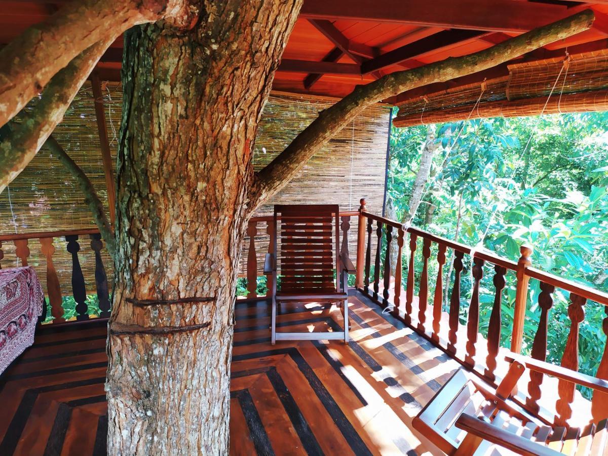 Villa Tree House-Midigama à Weligama Extérieur photo