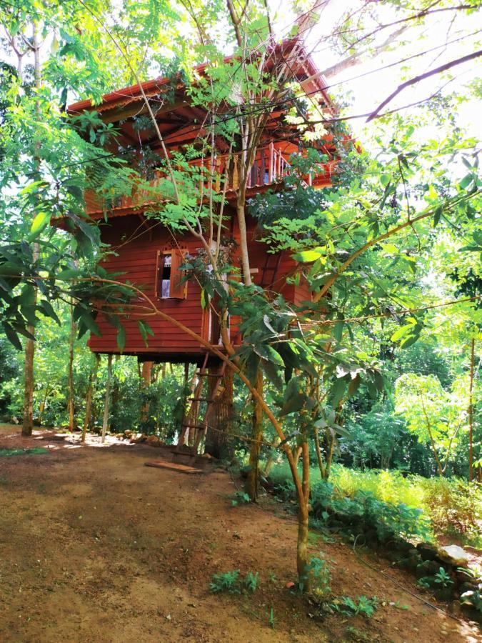 Villa Tree House-Midigama à Weligama Extérieur photo