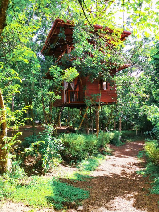 Villa Tree House-Midigama à Weligama Extérieur photo