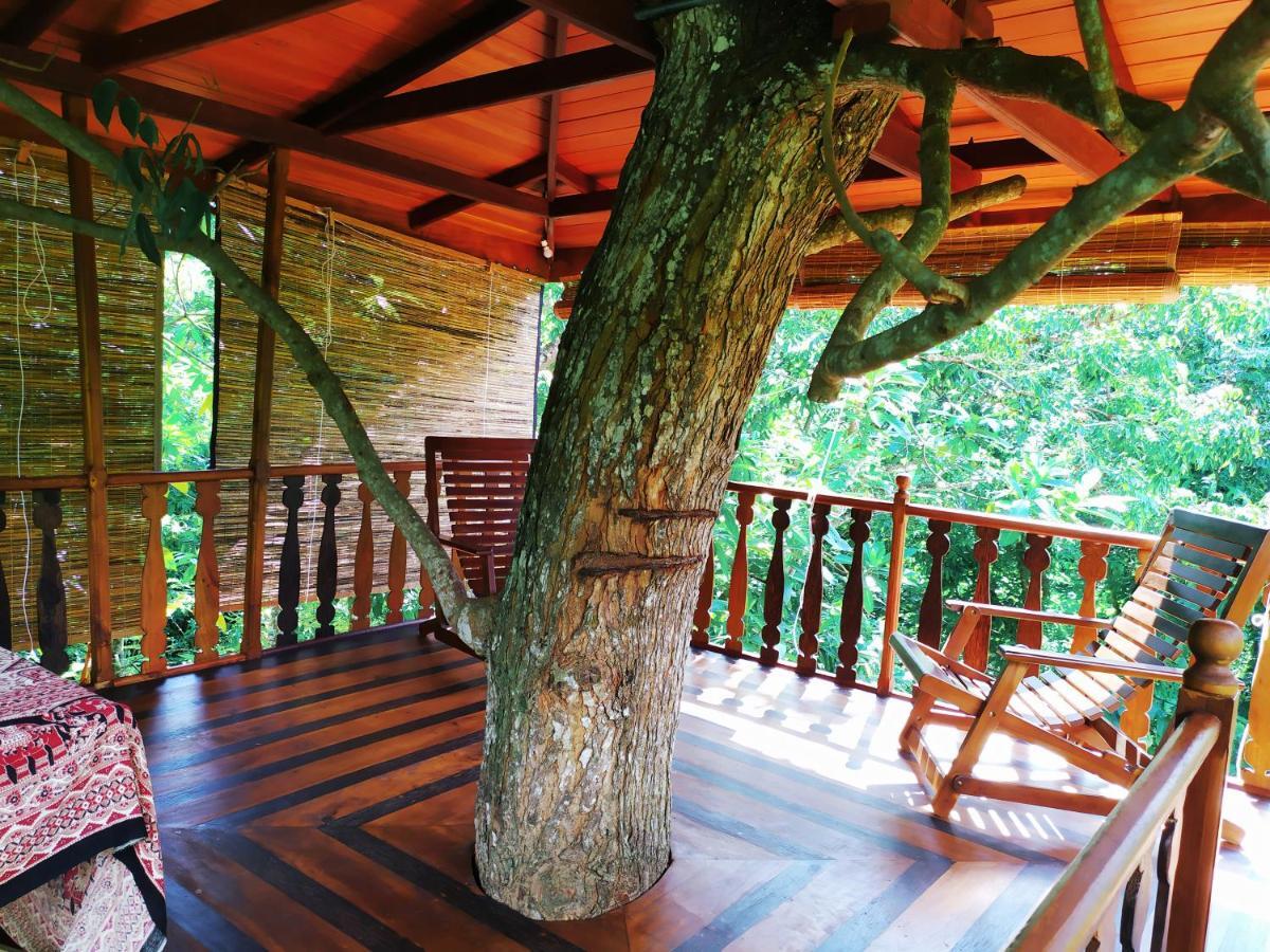 Villa Tree House-Midigama à Weligama Extérieur photo